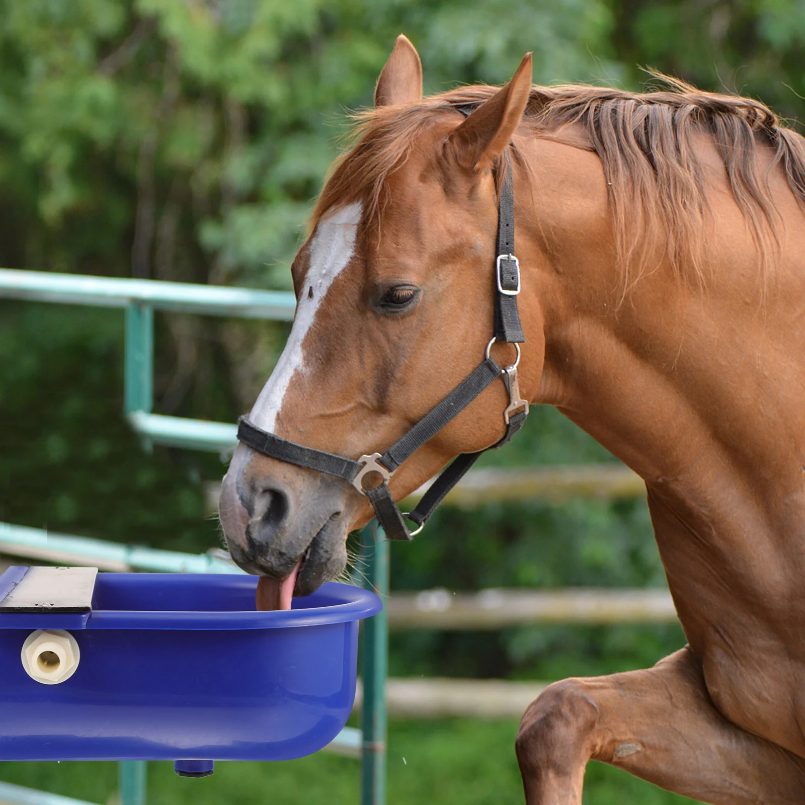 

Automatic Cow and Sheep Drinking Water Bowl Cow Water Feeder Water Dispenser Automatic Horse Waterer Livestock Trough Tool