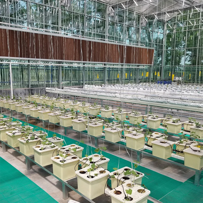 Home Balcony Soilless Cultivation Equipment Indoor Planting Dutch Barrel Greenhouse Vegetables Fruits Hydroponic Growth System