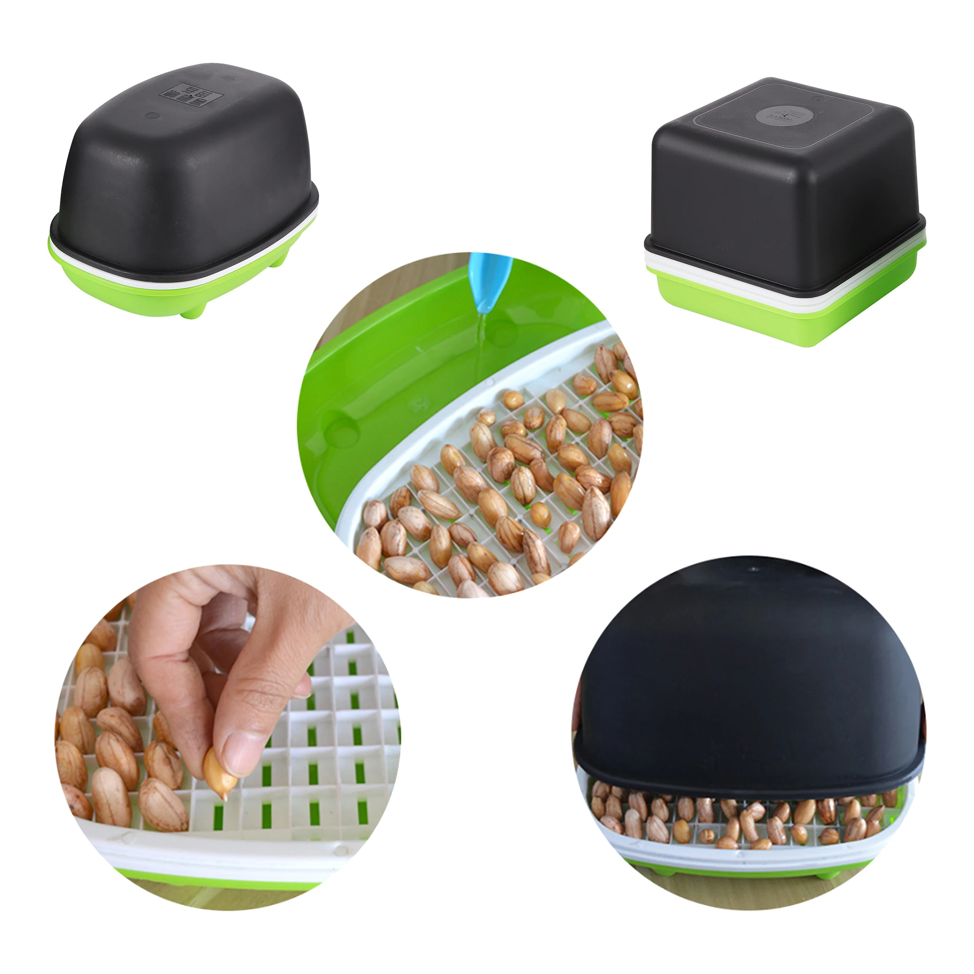 Garden Grow Soilless Hydroponic Seedling Kit