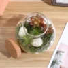 Desktop Micro-landscape Bottle Vase Empty DIY Cork Plant Terrarium Decorative Landscaping Container Glass Jar with Lid 2025 NEW 2