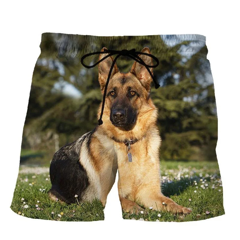 

Sheepdog 3D Print Shorts Men Women Kid Fashion Dog Leisure Oversize Short Pants Summer Cool Mens Swim Short Sport Beach Shorts