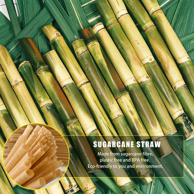 200pcs Sugar Cane Straws 21cm Disposable Compostable Drinking Cocktail Straw Kitchen Beverage Accessories Festival Party Kitchen