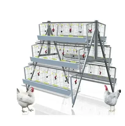 

Hot Galvanized Poultry Using 3-Tier 4 Tier Layer A Type Layer Chicken Cage For Sale