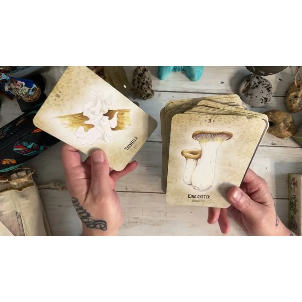 10.4*7.3cm Mushroom Spirit Oracle Cards 36 Pcs Hand-drawn Images of Mushrooms From All Over The World 4