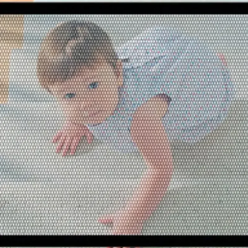 Dog Mesh Retractable Gate 5