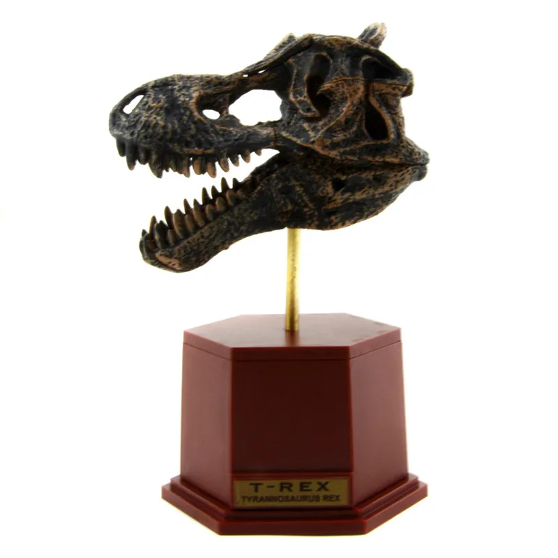 Simulation Dinosaur Toys 3D Dinosaur Model Skeleton Educational Dinosaurio Biology Interesting Toy For Children Gift Dinosaurios 4