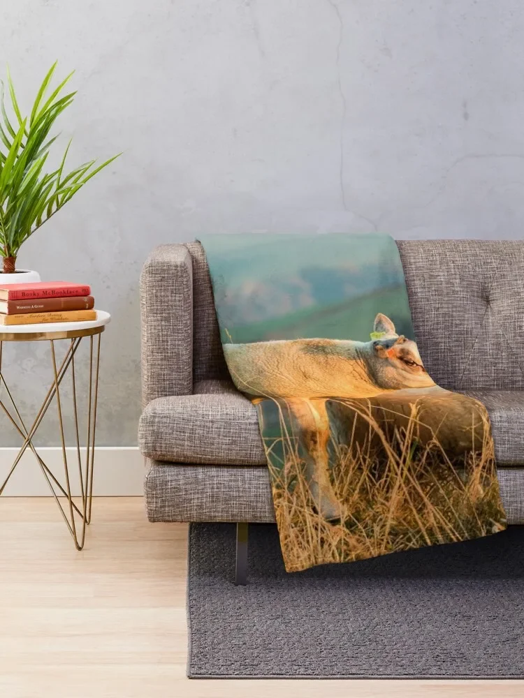 �ؼ� �� III ������ ���, ��� ���Ÿ� �����̳� ���