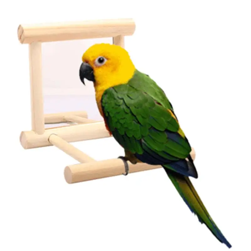 Bird Mirror Toy with Perch 5