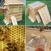 7PCS Auto Seeping Honey Bee Hives Beehive Frames +Cedarwood Beekeeping Brood Box 4