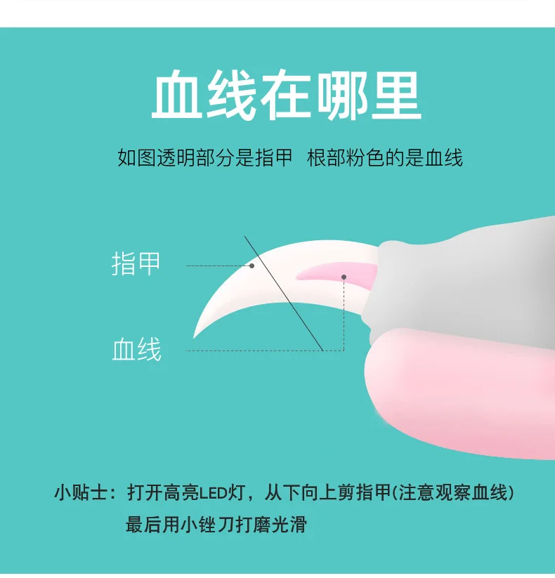 Title 14, Professional Pet Nail Clipper Scissors For Dog ...