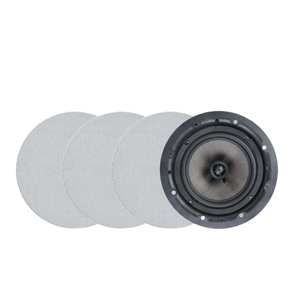 

Blue-tooth Stereo Sound For Home Theatre Full-range Audio Frameless 8 Inch SUPASS In Ceiling Speaker