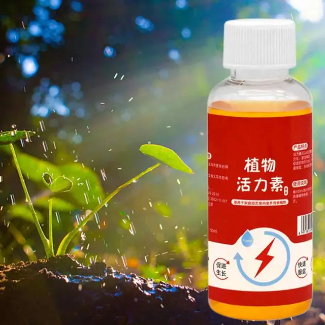 Növénynövekedés -Fokozó Kiegészítő Növényi Pornövekedés Szabályozó A Palánta Bonsai Fa Számára