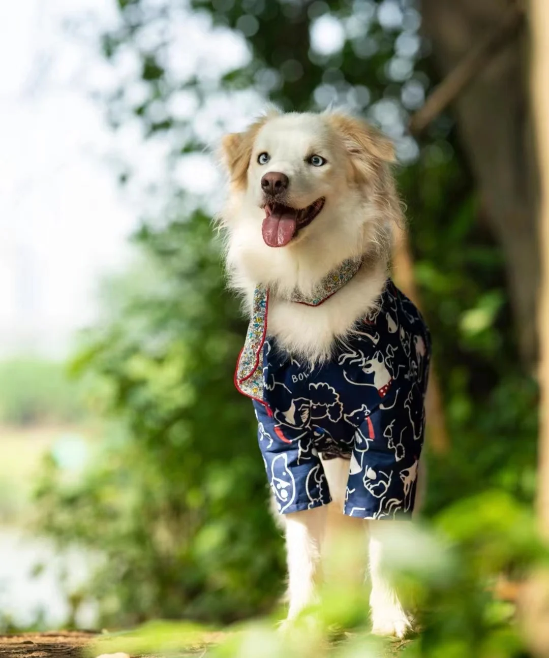 Breathable Pet Shirt for Summer - PeticaDeals
