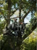 Muddy Nexus XTL 20 Foot Tall Climbing Safety System 2 Person Seat Deer Hunting Ladder Tree Stand with Flip Up Shooting Rail 6