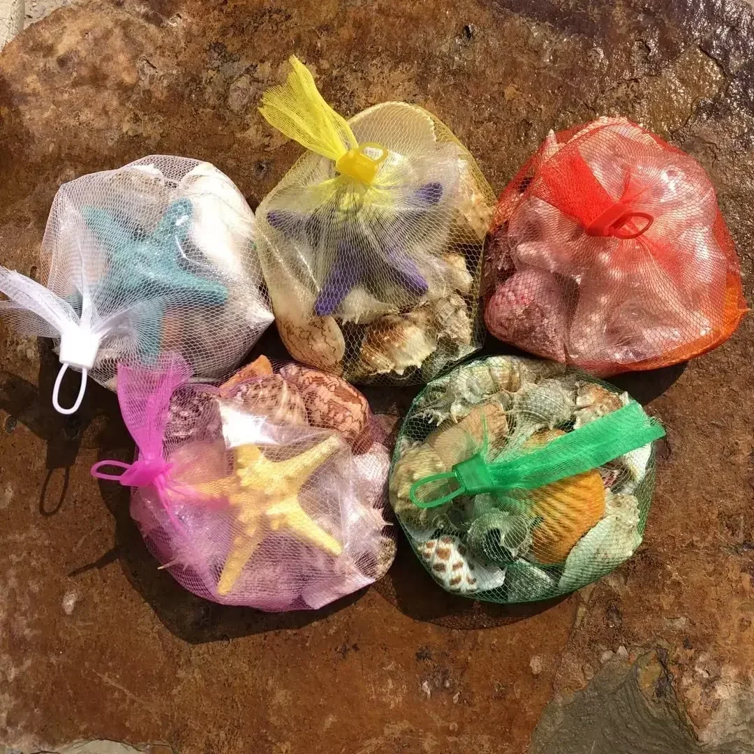 Shell Fish Tank Landscaping Small Conch Shell Handmade