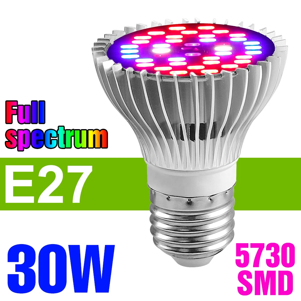 E27 30W