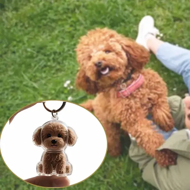 Pet Fur Memorial Keychain Transparent Dog/Cat Hair Storage Pendant Hair Collector WIth Key Ring for Pet Lovers DIY Souvenir Gift 4