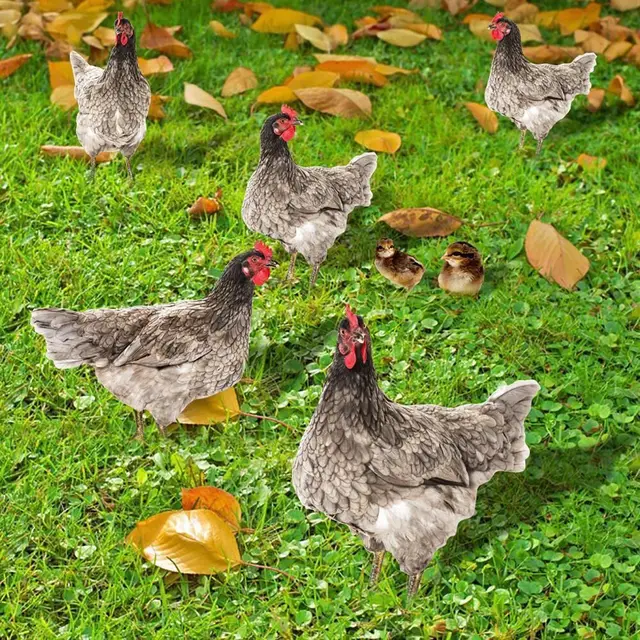 Akrilkakas Szobrok Kétoldalas Nyomtatási Szoborok Csirke Dekorációk Kerti Díszek Kültéri Udvari Dekoráció