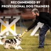 Dog Training Toys Outdoor Interactive Tug of War Training Bite Stick  Used as Pet Supplies for Training Medium to Large Dogs 2