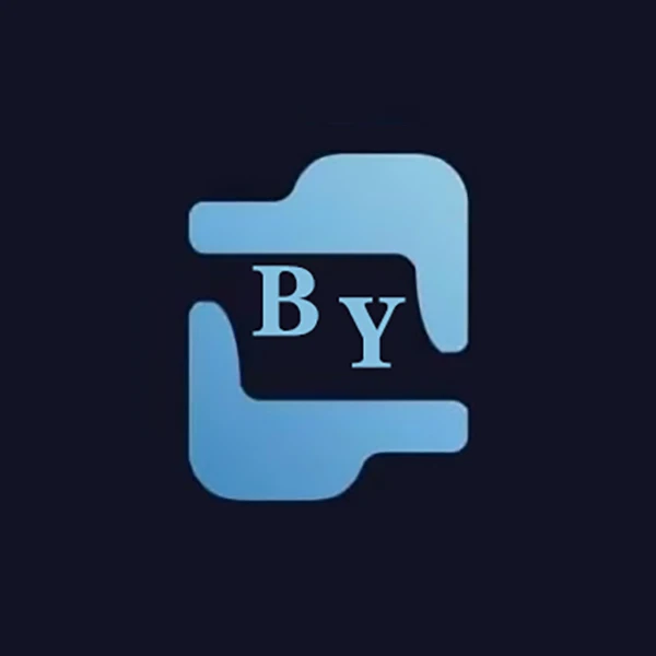 BAOYI ACCESSORY Store