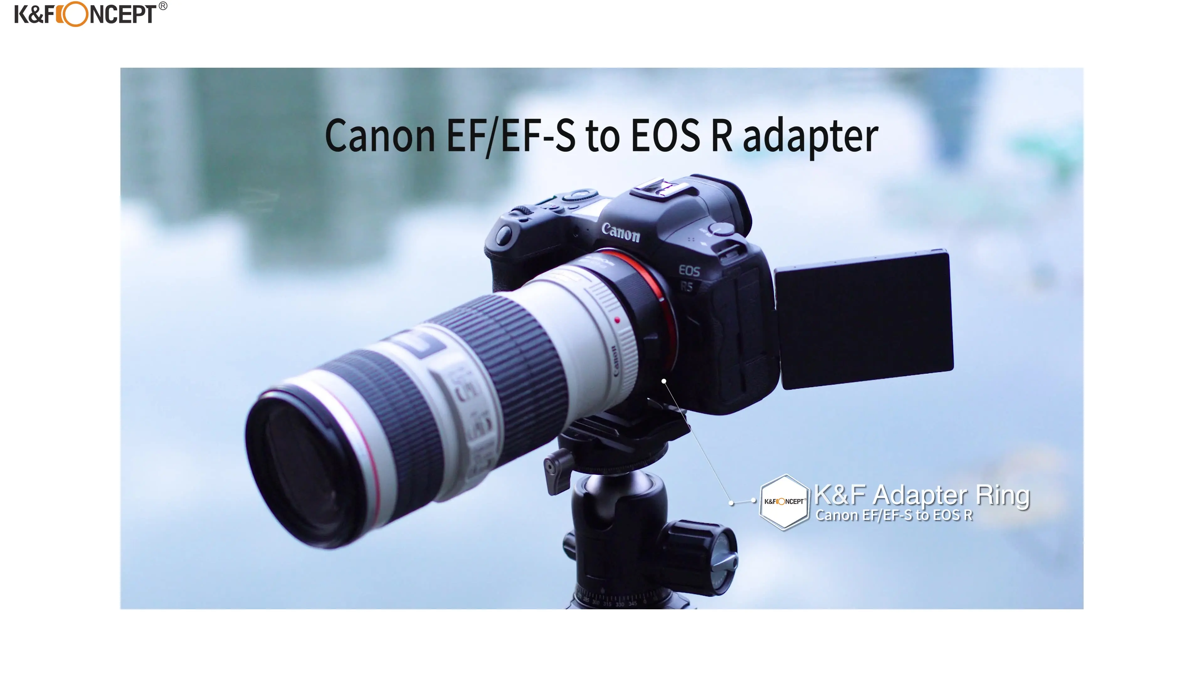 JJC Objektiv-Adapter für Canon EF EF-S auf EOS RF-Mount EOS R Ra RP R3 R5 R5c R6 R6II R6III R7 R8 R10 R50