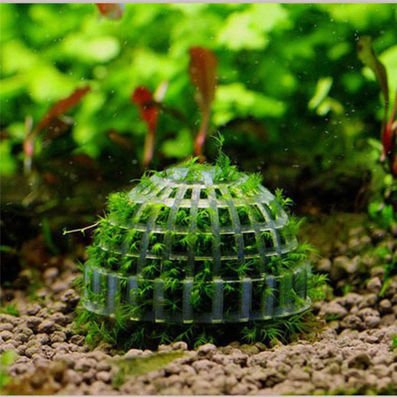 Title 7, 1PC Live Plants Holder Fish Tank Media Moss Bal...