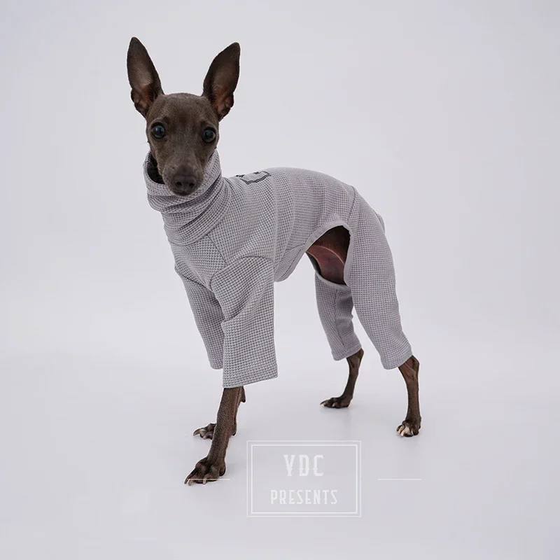 犬服・アクセサリー Fifi&Romeo fifi&romeo フィフィロメオのワンピース - メルカリ
