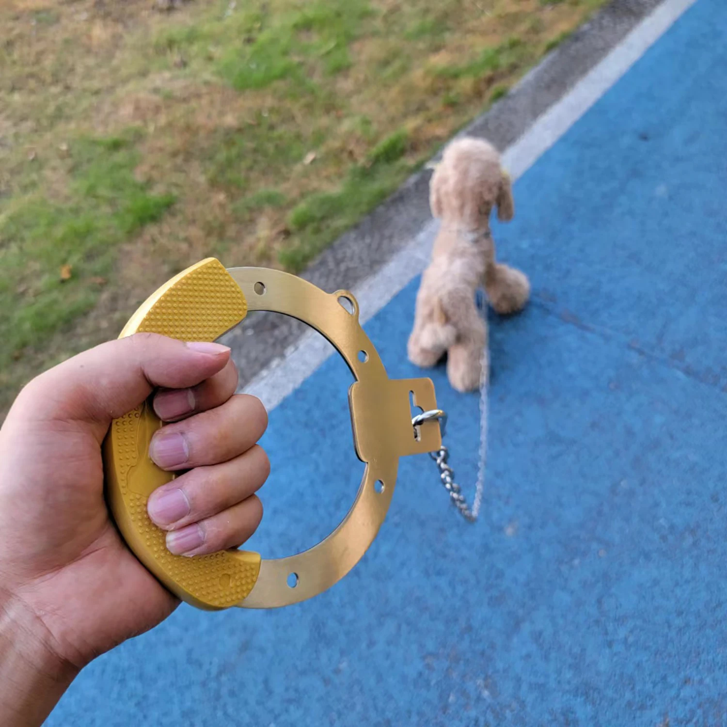 Dog Metal Leash Ajustable Collar Set Stainless Steel Handle Chew