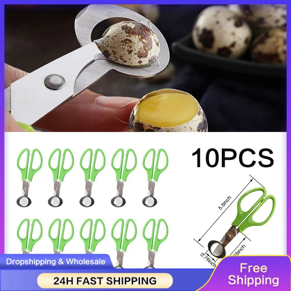 10pcs/set Pigeon Quail Egg Scissor Bird Cutter Opener Stainless Steel