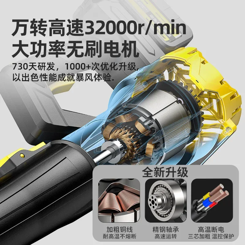 잎사귀 송풍기 고출력 강력 헤어드라이어 리튬 배터리 산업용 220V