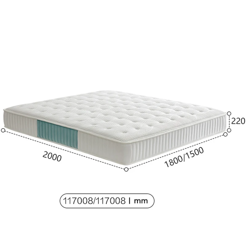 Modern minimalism style design household mattress spring coir fiber mattress topper