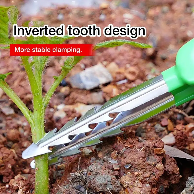 Gardening Tweezer Multifunction Curved Serrated Precision Tweezers Bonsai Succulents Plants Pruning Weeding Tweezer Garden Tools 3