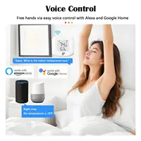 Tuya WiFi / ZigBee Temperature and Humidity Sensor Smart Home Indoor Thermometer Monitor for Alexa Google Smart Life - Image 5
