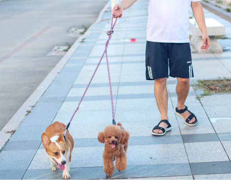 2.6M Hands Free Dog Slip Leash for Running Multifunctional Dog Training Leads Nylon Double Leash for Puppy Small & Large Dogs