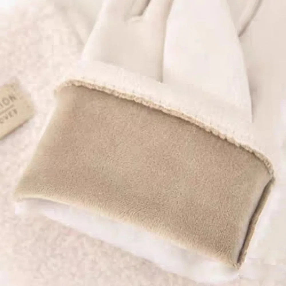 Polar Fleece Winter Gloves Touchable Screen Warm Driving Mittens Windproof Coldproof Windproof Cold Proof Gloves