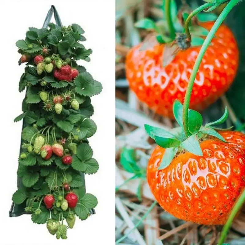 

Strawberry Grow Bags Strawberry Planting Multi-Function Hanging Vegetable Flower Plant Grow Bag Aeration Fabric Pots With Handle