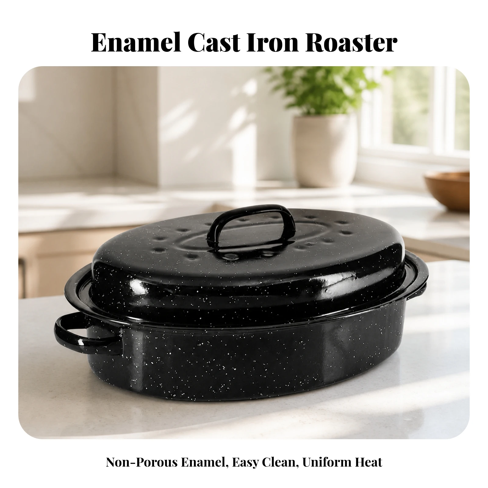 VOval Enameled Cast Iron Roaster 5