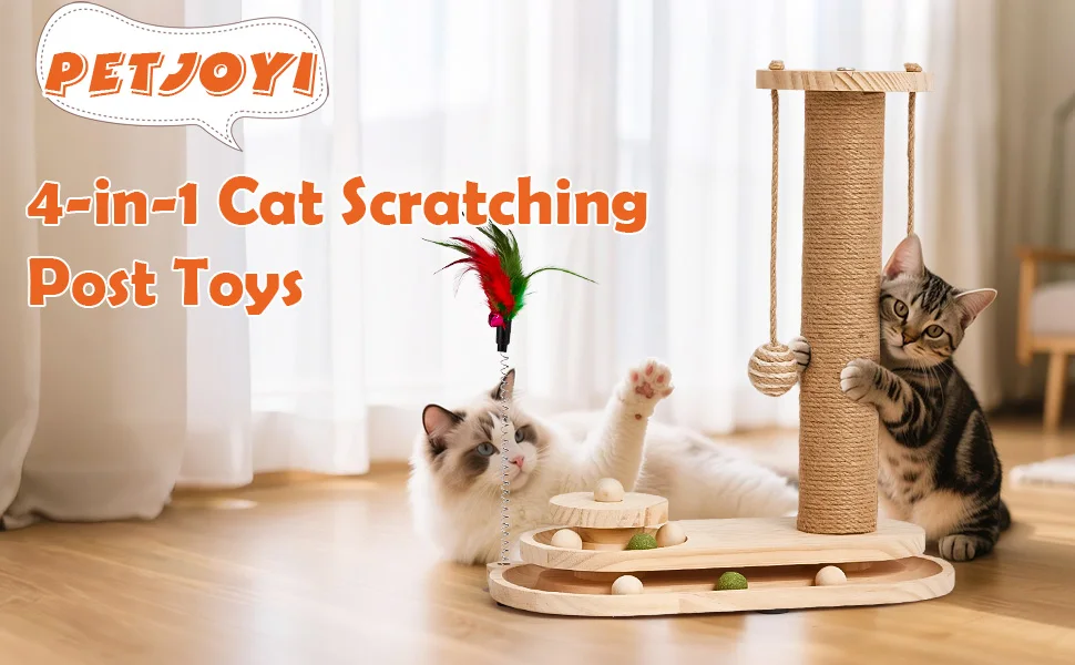 kitten toys