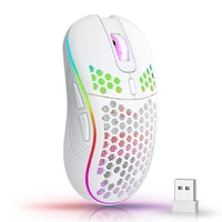Souris Gaming Sans Fil RGB – 2.4GHz, DPI Réglable, Design Alvéolé, Rechargeable 1