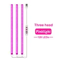 Pink Light 3 head
