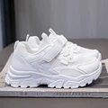 Daidaitu239white