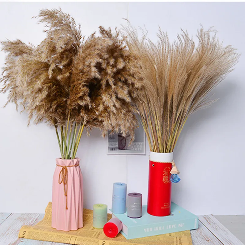 

30pcs Dried Flowers Nature Bouquet Pampas Grass Arrangement Fluffy DIY Boho Plant Artificiales Wedding Room Home Decoration