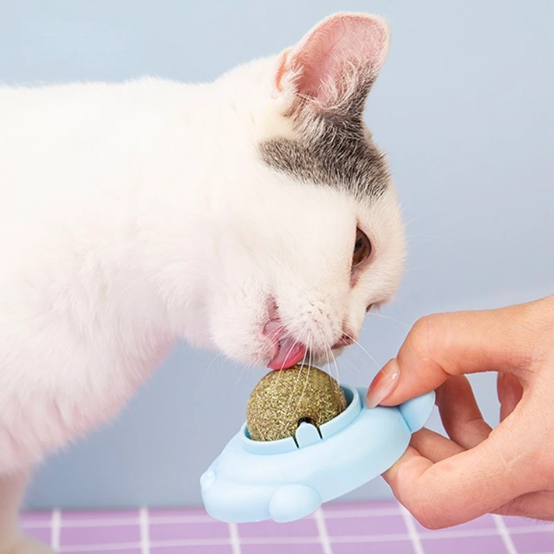 

Милый настенный шар в форме котика, забавные самоклеящиеся игрушки для кошек