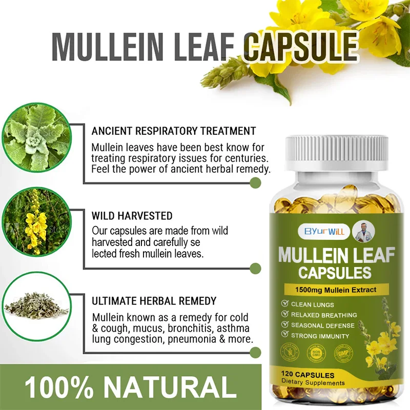 Mullein Leaf Extract Lung Detox Capsules Organic Mullein Extract Capsules Suitable For Lung & Bronchial Cleanse for Smokers Respiratory Health Support Gut Health
