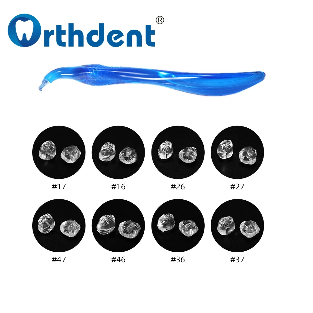 

Dental Posterior Teeth Aesthetic Printing Mould Kit Reshape Silicone Dentist Composite Resin Restoration Mold Filling Material
