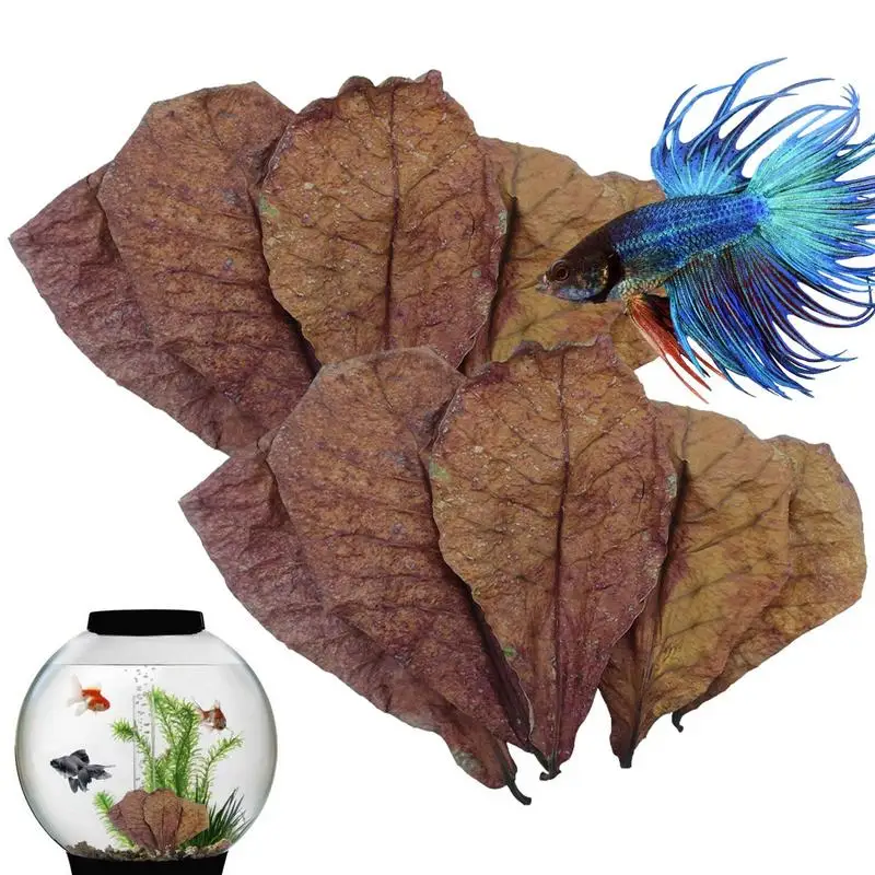 Terminalia Foglie Di Catappa Betta Foglie Di Gamberetti Ph Balance Condizionatore D'Acqua Per Acquario Tartarughe Gamberetti Habitat Accessorio