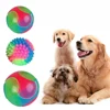 Fun Pet Toys Small Dog Flash Ball Dog Toys Ball TPR Three Color Glowing Elastic Ball Dog Training Throwing The Ball Dogball 2