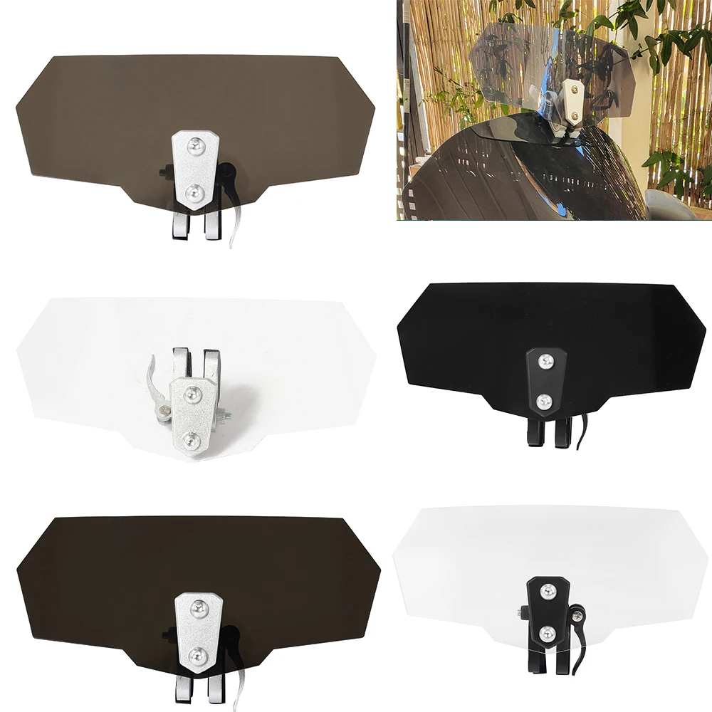 Store Home Products Esports Trends Feedback