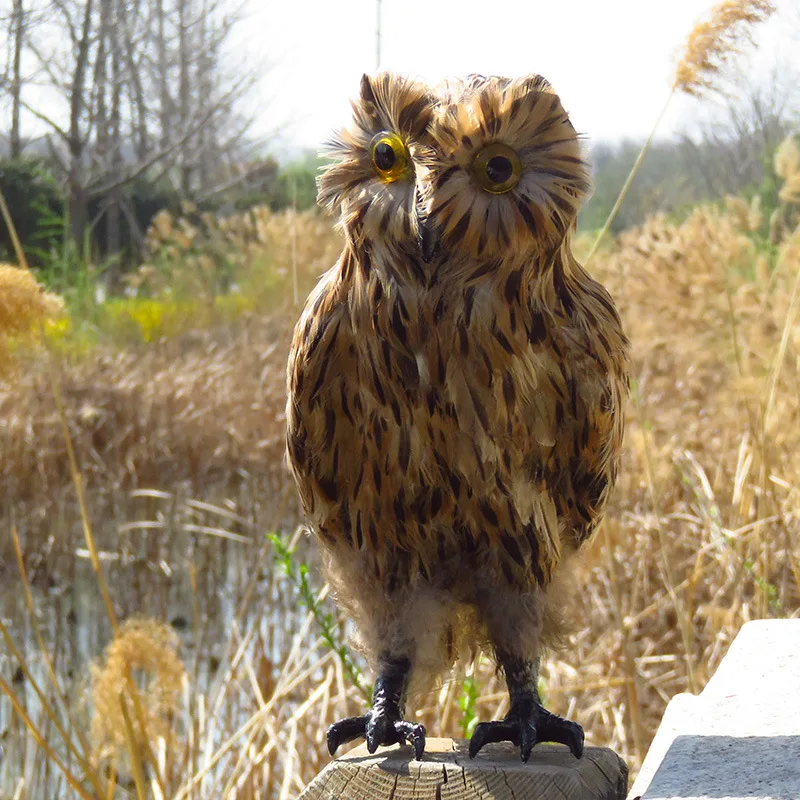 

About 30cm foam&furs real life brown owl bird toy home garden decoration gift xf2789