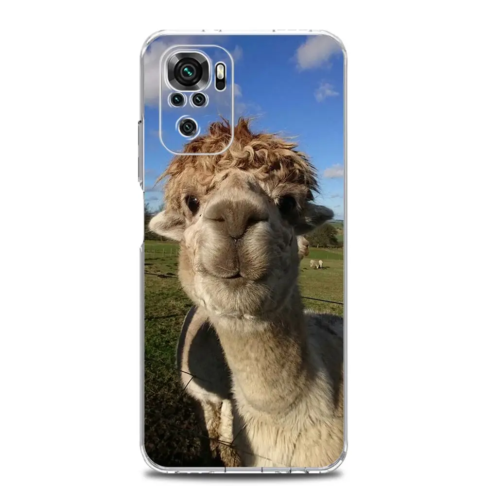 Clear Kawaii Alpaca Lovely Phone Case Cover